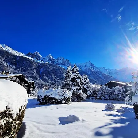 Vue Mont Blanc Avec Jardin * 샤모니