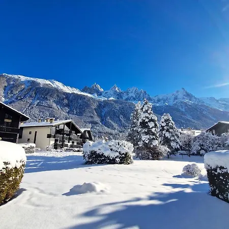Vue Mont Blanc Avec Jardin דירה *