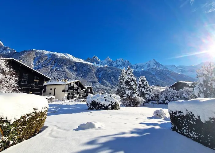 Vue Mont Blanc Avec Jardin Apartment *